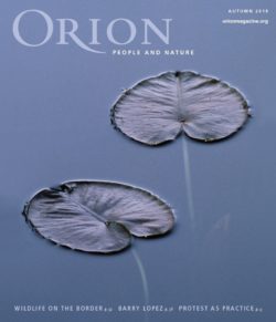 Orion Autumn 2018 cover